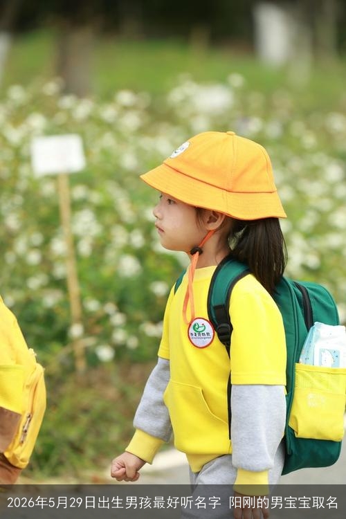 2026年5月29日出生男孩最好听名字 阳刚的男宝宝取名