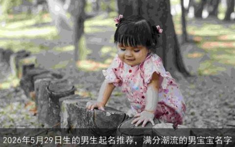 2026年5月29日生的男生起名推荐，满分潮流的男宝宝名字