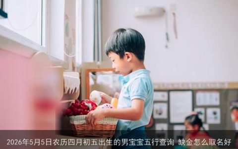 2026年5月5日农历四月初五出生的男宝宝五行查询 缺金怎么取名好