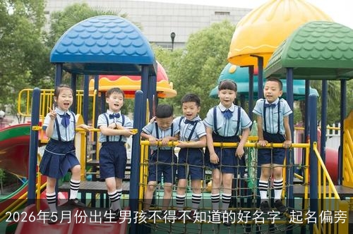 2026年5月份出生男孩不得不知道的好名字 起名偏旁