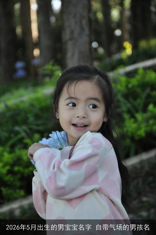 2026年5月出生的男宝宝名字 自带气场的男孩名