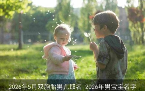 2026年5月双胞胎男儿取名 2026年男宝宝名字