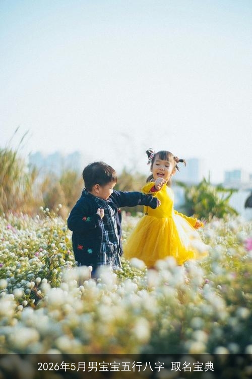 2026年5月男宝宝五行八字 取名宝典