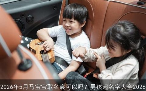 2026年5月马宝宝取名宸可以吗？男孩起名字大全2026