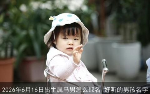 2026年6月16日出生属马男怎么取名 好听的男孩名字