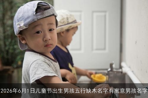 2026年6月1日儿童节出生男孩五行缺木名字有寓意男孩名字
