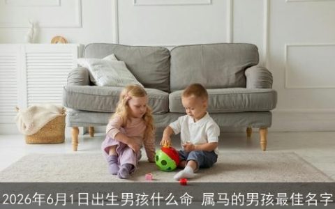 2026年6月1日出生男孩什么命 属马的男孩最佳名字
