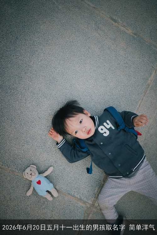 2026年6月20日五月十一出生的男孩取名字 简单洋气