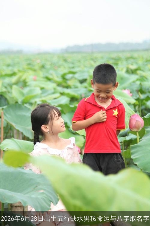 2026年6月28日出生五行缺水男孩命运与八字取名字