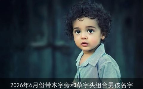 2026年6月份带木字旁和草字头组合男孩名字