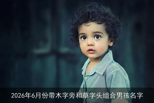 2026年6月份带木字旁和草字头组合男孩名字