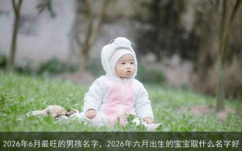 2026年6月最旺的男孩名字，2026年六月出生的宝宝取什么名字好