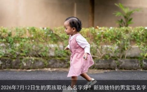 2026年7月12日生的男孩取什么名字好？新颖独特的男宝宝名字