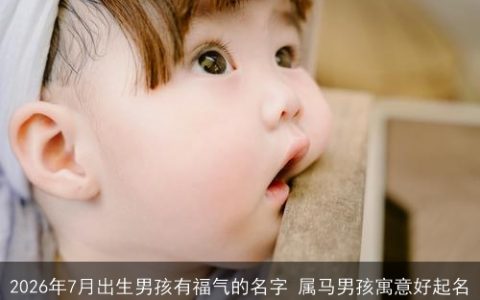 2026年7月出生男孩有福气的名字 属马男孩寓意好起名