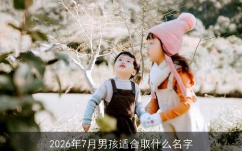2026年7月男孩适合取什么名字
