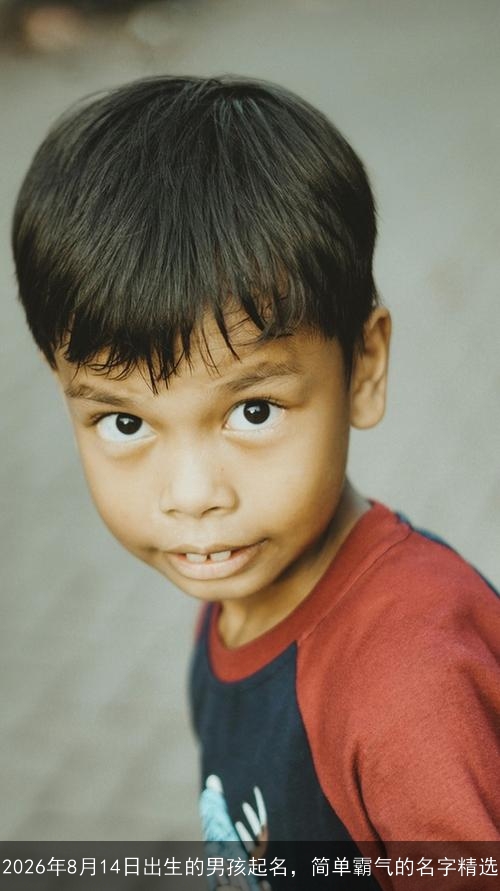 2026年8月14日出生的男孩起名，简单霸气的名字精选