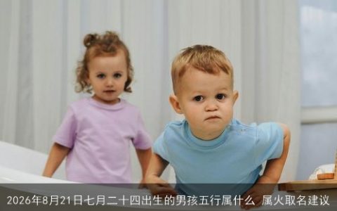 2026年8月21日七月二十四出生的男孩五行属什么 属火取名建议