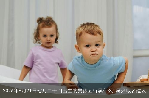 2026年8月21日七月二十四出生的男孩五行属什么 属火取名建议