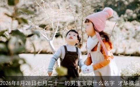 2026年8月28日七月二十一的男宝宝取什么名字 才华横溢