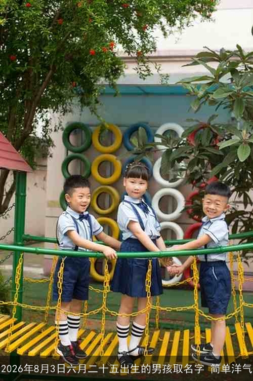 2026年8月3日六月二十五出生的男孩取名字 简单洋气