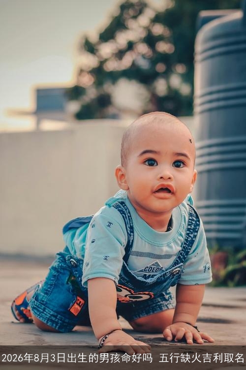 2026年8月3日出生的男孩命好吗 五行缺火吉利取名