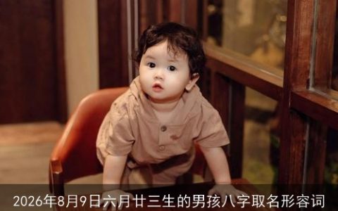 2026年8月9日六月廿三生的男孩八字取名形容词