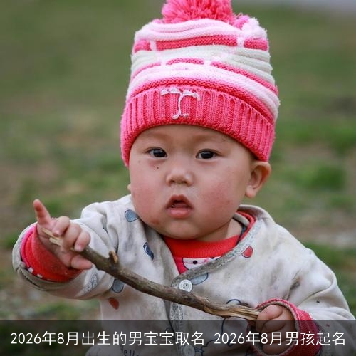 2026年8月出生的男宝宝取名 2026年8月男孩起名