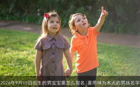 2026年9月15日出生的男宝宝要怎么取名 喜用神为木火的男孩名字