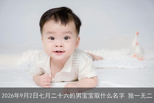 2026年9月2日七月二十六的男宝宝取什么名字 独一无二