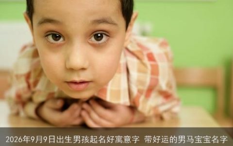 2026年9月9日出生男孩起名好寓意字 带好运的男马宝宝名字
