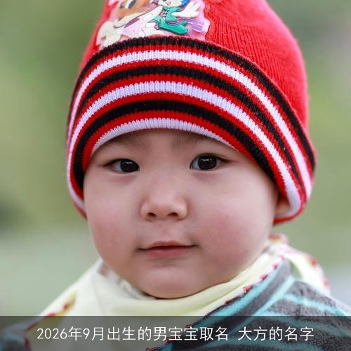 2026年9月出生的男宝宝取名 大方的名字