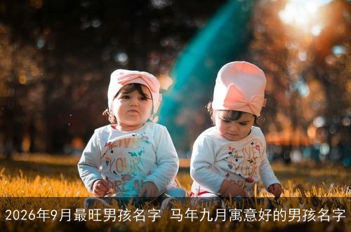 2026年9月最旺男孩名字 马年九月寓意好的男孩名字