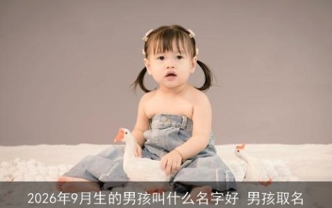 2026年9月生的男孩叫什么名字好 男孩取名