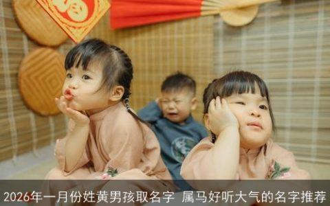 2026年一月份姓黄男孩取名字 属马好听大气的名字推荐
