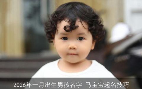 2026年一月出生男孩名字 马宝宝起名技巧