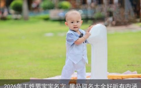 2026年丁姓男宝宝名字 属马取名大全好听有内涵