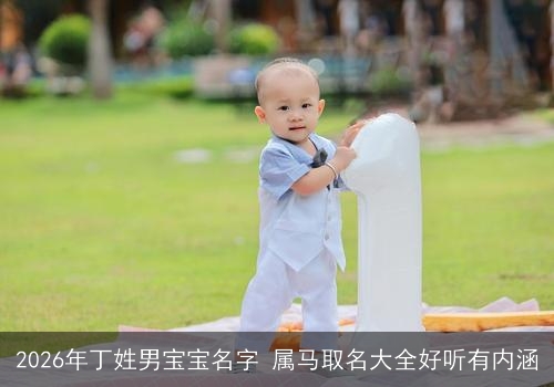 2026年丁姓男宝宝名字 属马取名大全好听有内涵