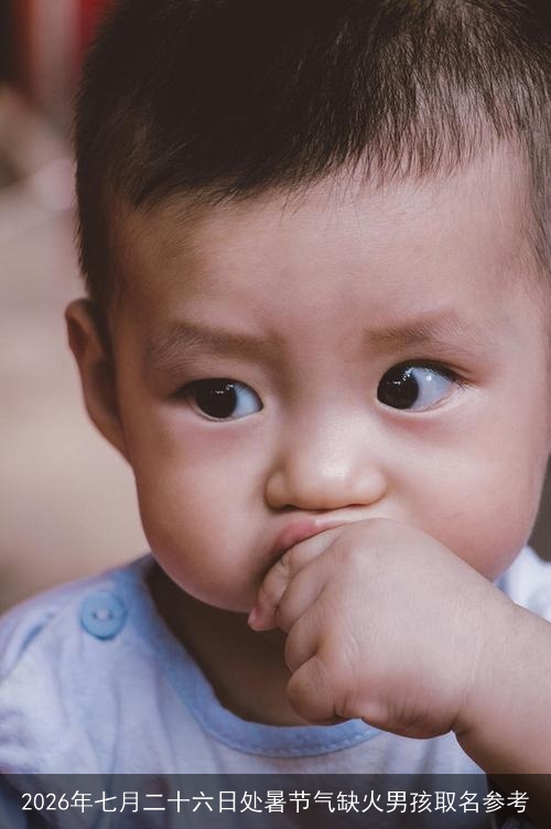 2026年七月二十六日处暑节气缺火男孩取名参考