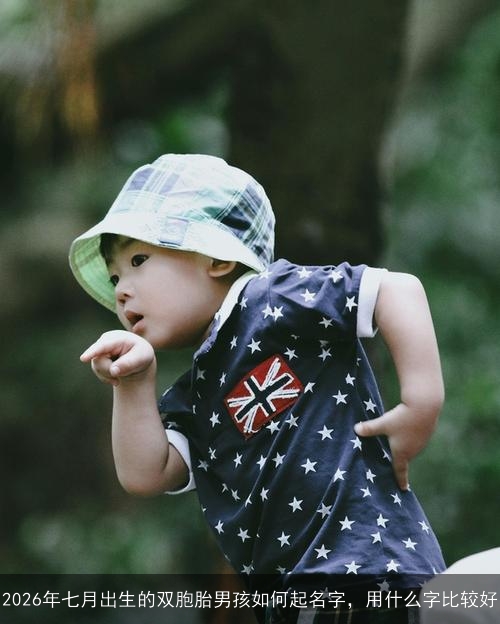 2026年七月出生的双胞胎男孩如何起名字，用什么字比较好