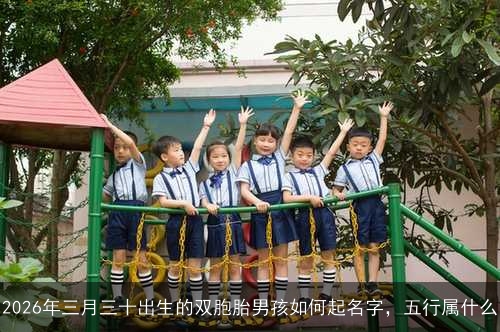 2026年三月三十出生的双胞胎男孩如何起名字，五行属什么