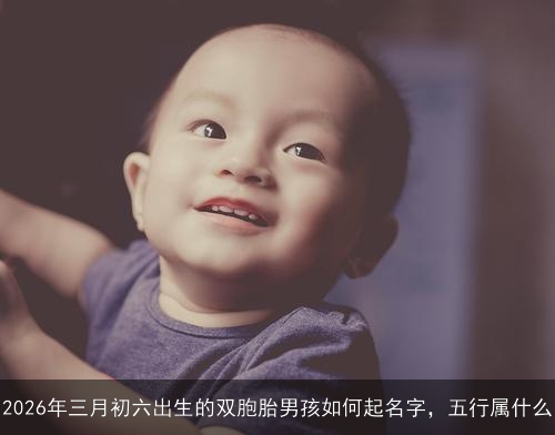 2026年三月初六出生的双胞胎男孩如何起名字，五行属什么