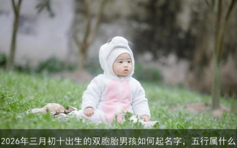 2026年三月初十出生的双胞胎男孩如何起名字，五行属什么