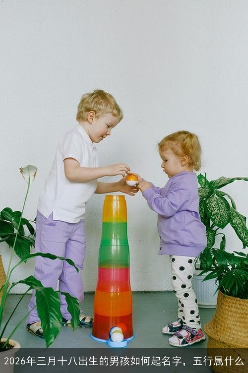 2026年三月十八出生的男孩如何起名字，五行属什么