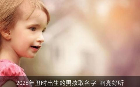 2026年丑时出生的男孩取名字 响亮好听