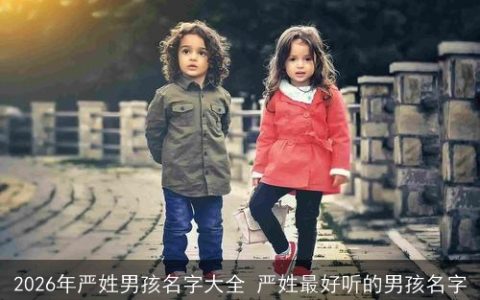 2026年严姓男孩名字大全 严姓最好听的男孩名字