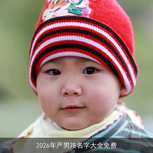 2026年严男孩名字大全免费