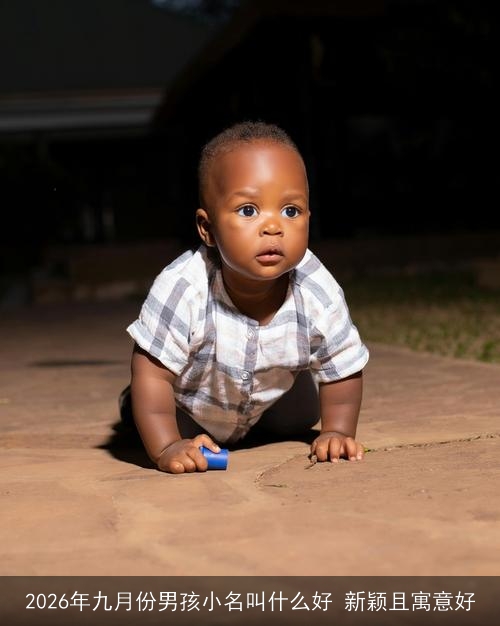 2026年九月份男孩小名叫什么好 新颖且寓意好