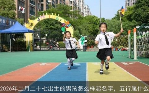 2026年二月二十七出生的男孩怎么样起名字，五行属什么