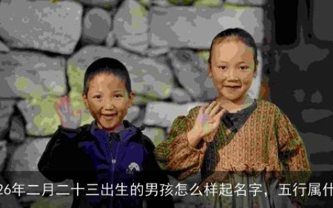 2026年二月二十三出生的男孩怎么样起名字，五行属什么