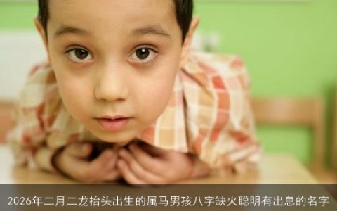 2026年二月二龙抬头出生的属马男孩八字缺火聪明有出息的名字